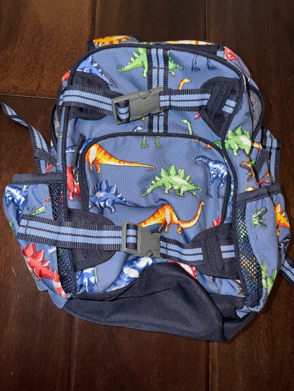 Pottery barn kids dinosaur backpack